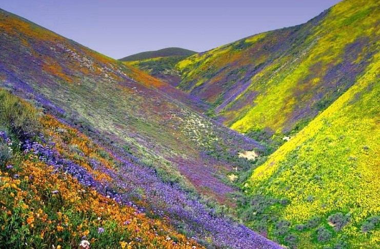 You are currently viewing Η «Κοιλάδα των Λουλουδιών»: Ένα τοπίο εκπληκτικής ομορφιάς «κρυμμένο» στα Ιμαλάια
